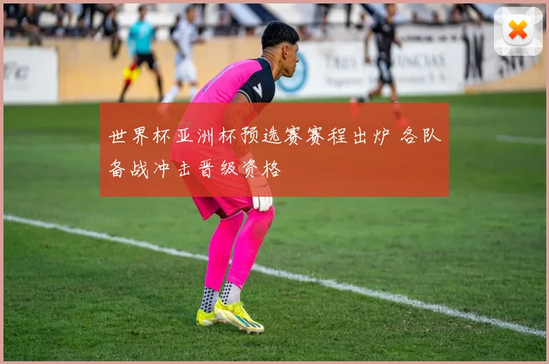世界杯亚洲杯预选赛赛程出炉 各队备战冲击晋级资格