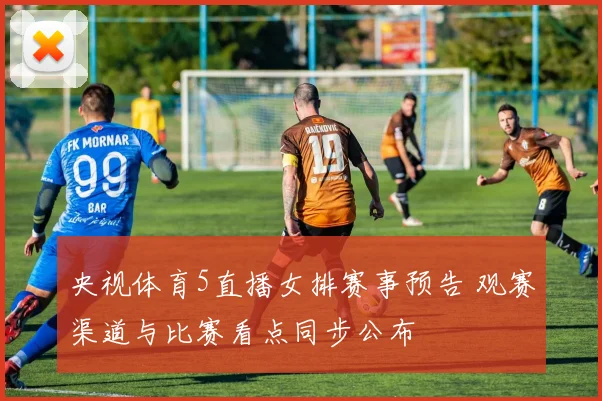 央视体育5直播女排赛事预告 观赛渠道与比赛看点同步公布